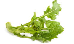 Cime di rapa: benefici, proprietà e ricette