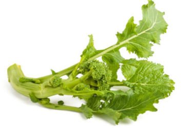 Cime di rapa: benefici, proprietà e ricette