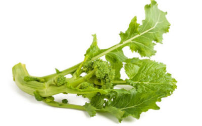 Cime di rapa: benefici, proprietà e ricette