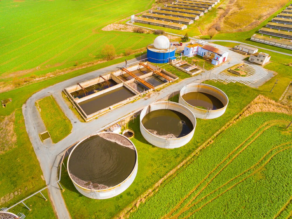 Le centrali a biomasse sono davvero eco? Pro e contro