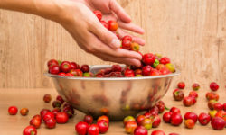 Scopriamo l’acerola, un frutto ricco di vitamine e minerali, utile per la salute