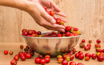 Acerola: proprietà e utilizzi di un vero superfrutto