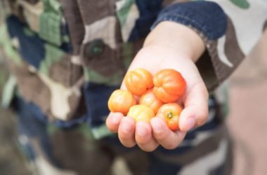 Scopriamo l’acerola, un frutto ricco di vitamine e minerali, utile per la salute