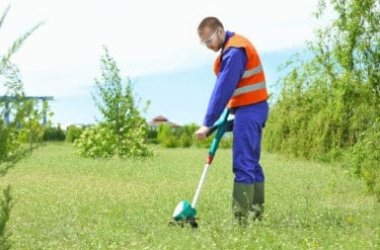 Decespugliatore: la guida all’acquisto, con le migliori offerte online