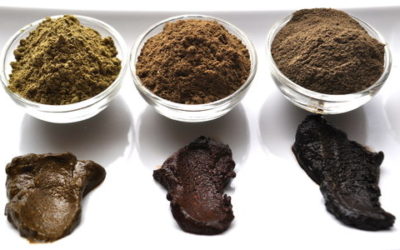 Hennè: l’alternativa naturale per capelli bianchi