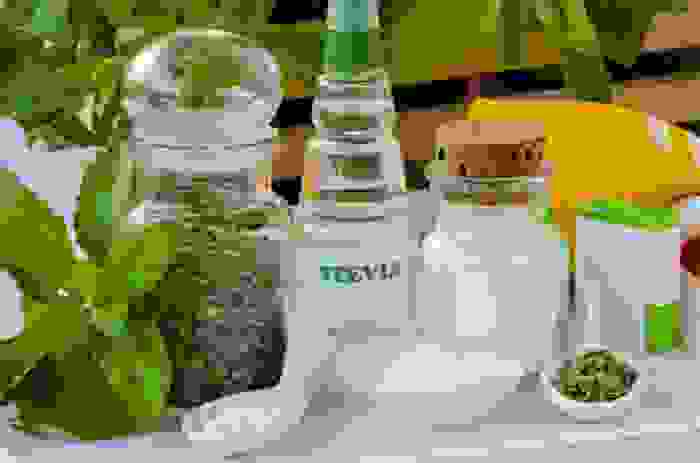 stevia