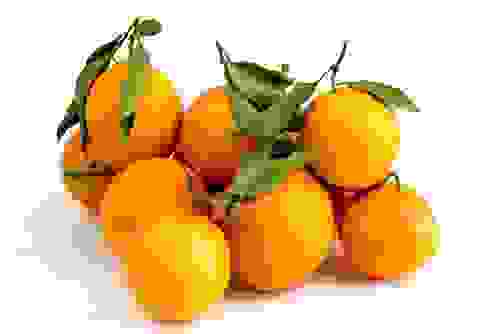 marmellata di arance