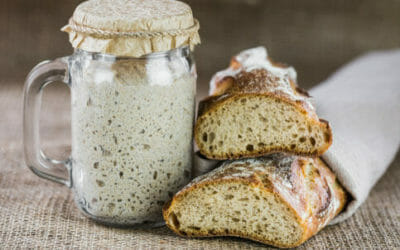 Pasta Madre: la ricetta per preparare il lievito naturale