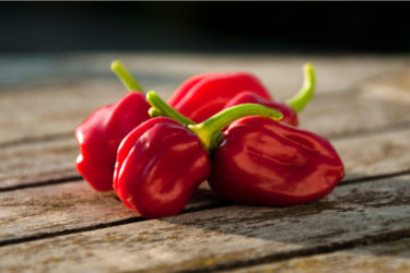 Il peperoncino habanero: piccante e ricco di proprietà benefiche