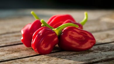 peperoncino habanero