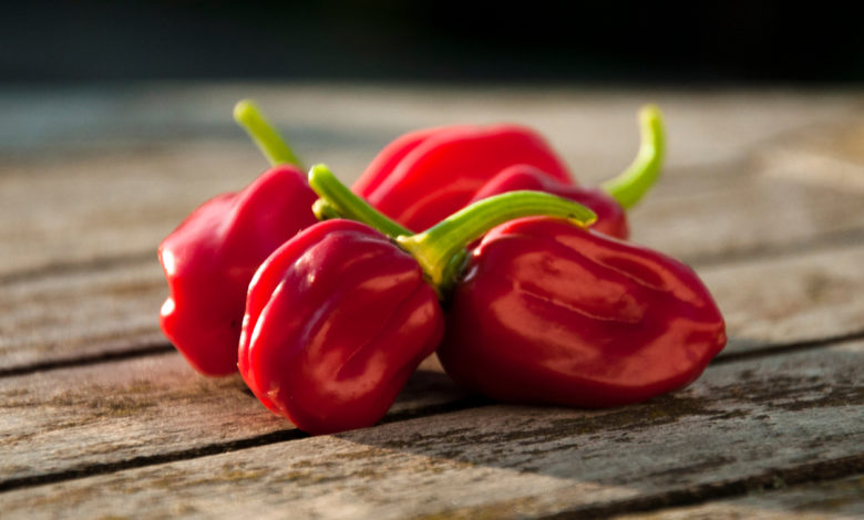 peperoncino habanero