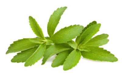 Stevia: i benefici di questa alternativa allo zucchero