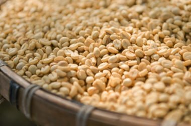 Caffè verde proprietà e come si utilizza