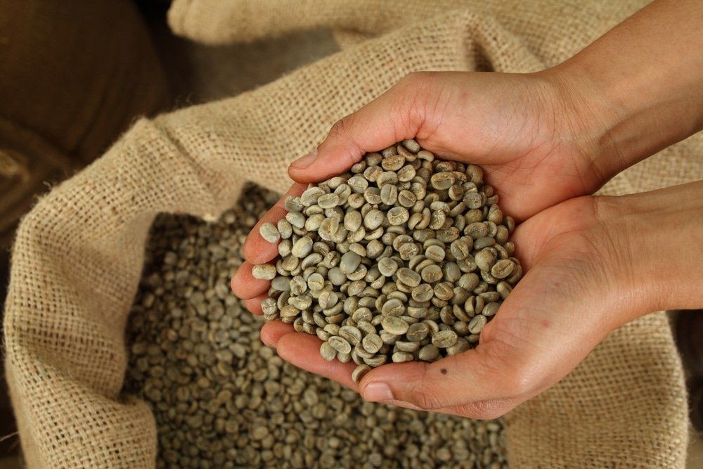 Café Vert Bio – 200g – Complément Minceur Et Antioxydant – Pérou