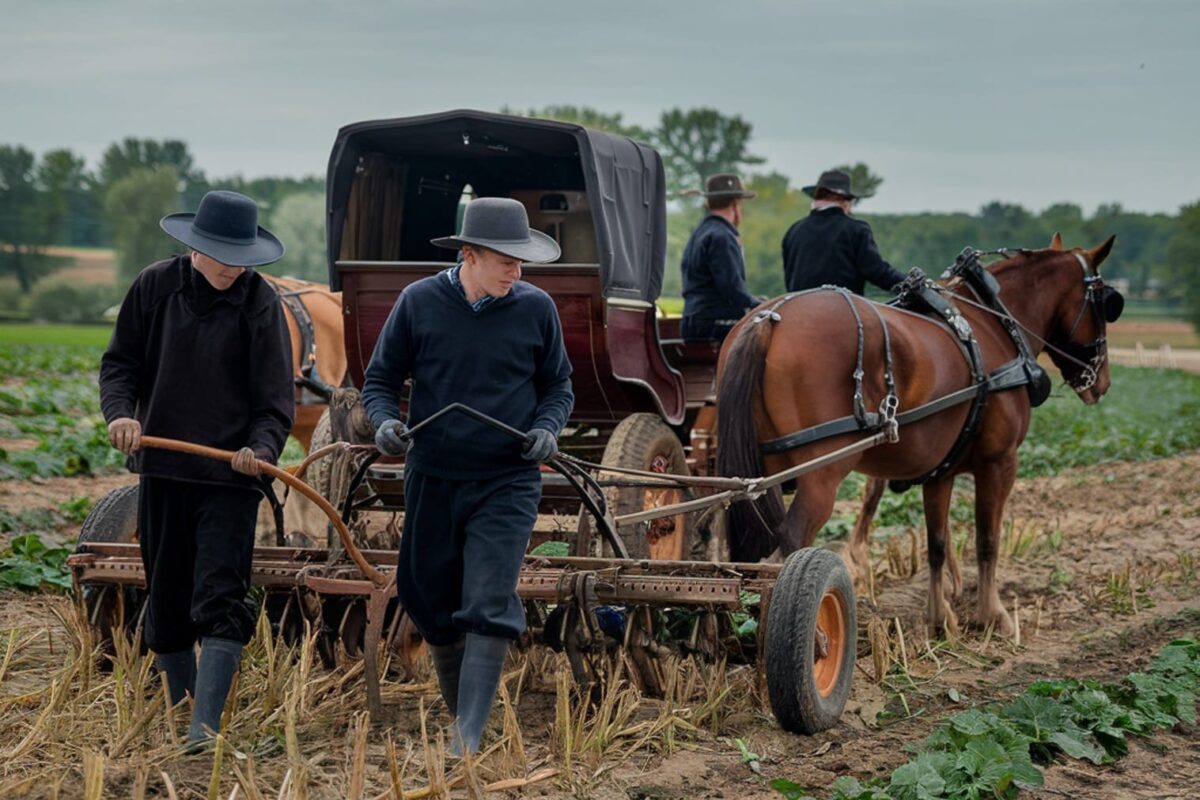 La comunità Amish è ecologica senza saperlo