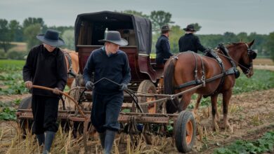 La comunità Amish è ecologica senza saperlo