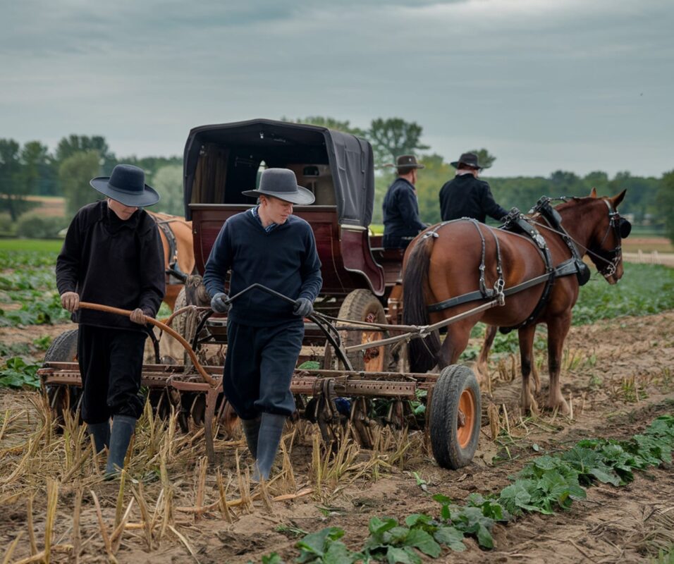 La comunità Amish è ecologica senza saperlo