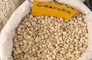 Proprietà e benefici della cicerchia, un legume antico che presenta alcune controindicazioni