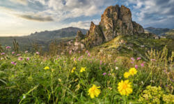 Parco Nazionale dell’Aspromonte