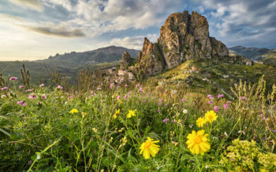 Parco Nazionale dell’Aspromonte