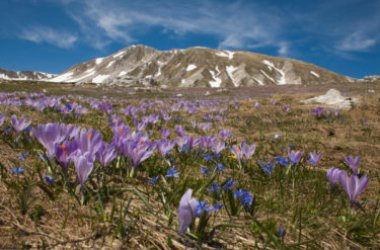 Parco Nazionale del Gran Sasso e dei Monti della Laga