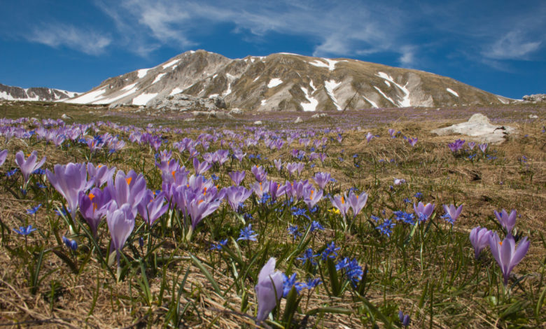 Parco Nazionale del Gran Sasso e dei Monti della Laga