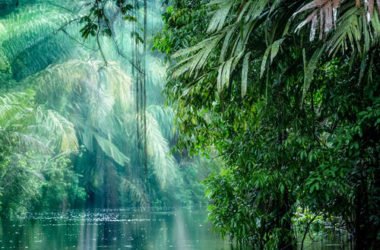 Le meraviglie della Costa Rica, il paese-parco