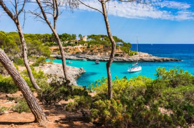 Tanti habitat europei a rischio estinzione, anche in Italia