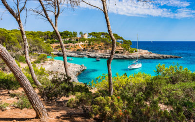 Tanti habitat europei a rischio estinzione, anche in Italia