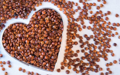 Quinoa proprietà: benefici, ricette e dove si compra