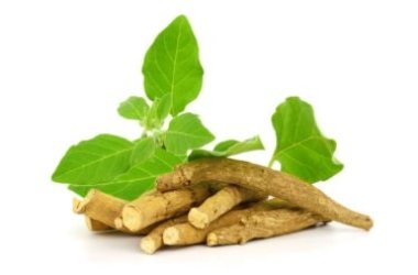 Ashwagandha, cos’è e come si utilizza