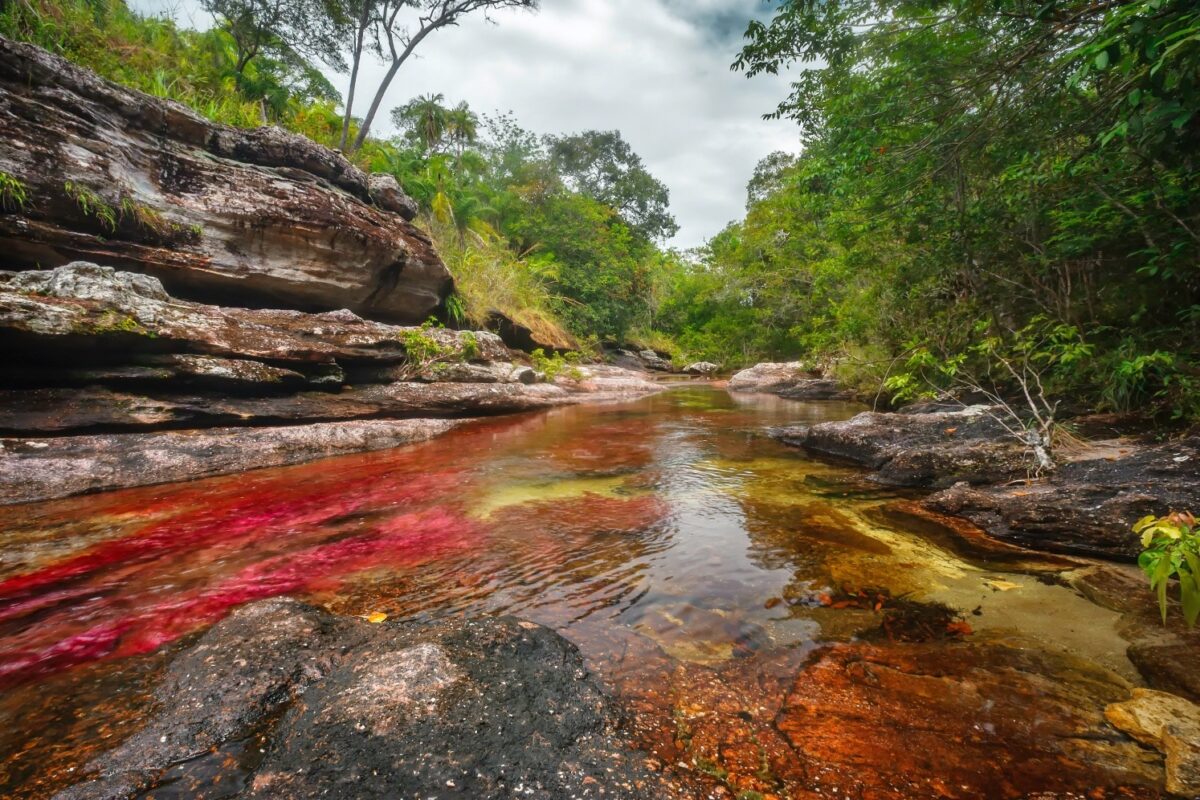 Ecco il fiume technicolor in Colombia