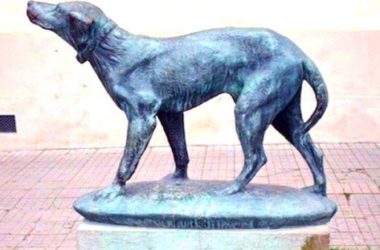 Fido cane coraggioso, conoscete la vera storia?