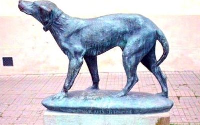 Fido cane coraggioso, conoscete la vera storia?