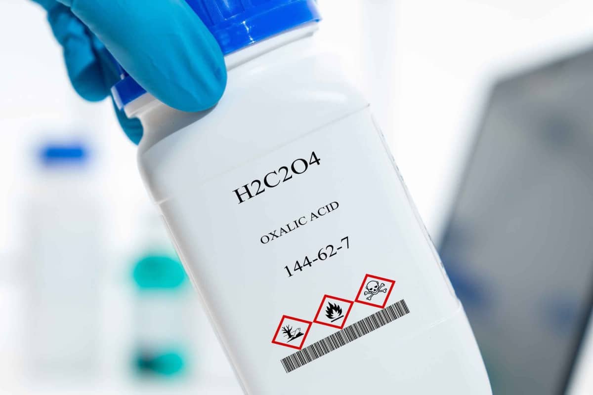Acido ossalico, cos'è, dove si trova, perchè e come ridurlo