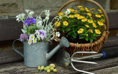 3 tipi di orto-giardino da coltivare subito