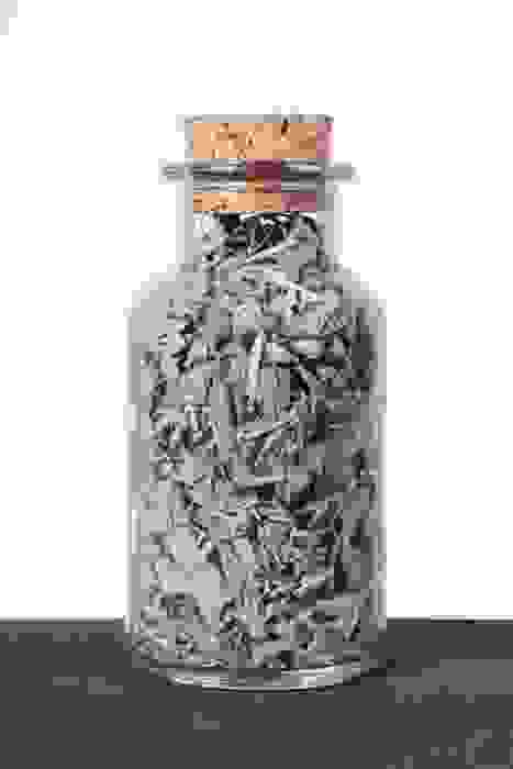 shutterstock_608891147