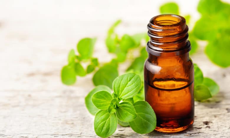 olio essenziale di origano