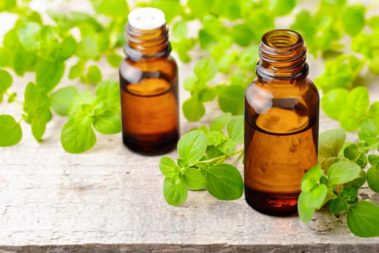 Olio essenziale di Origano di Spagna. 100% Puro e Naturale. Vendita online