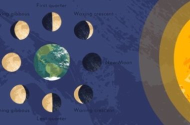 Fasi lunari: davvero influenzano l’agricoltura e come?