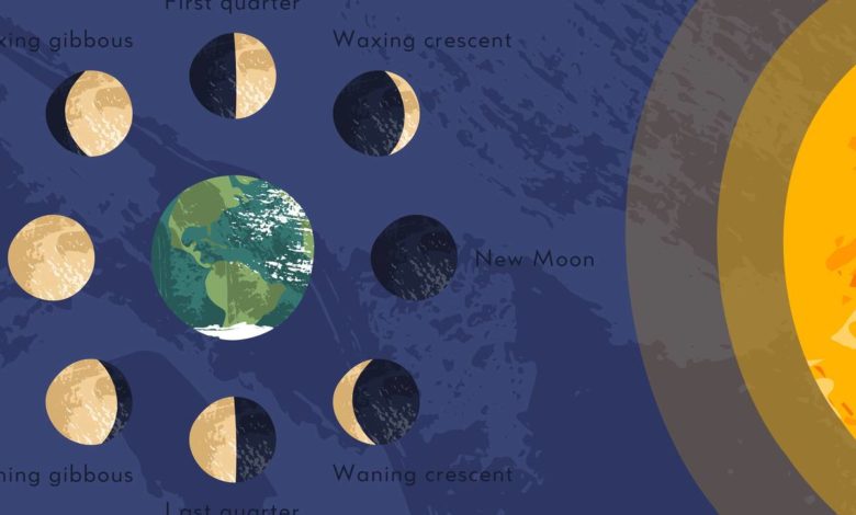 fasi lunari dettaglio