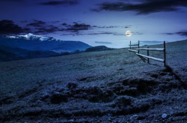 Fasi lunari: davvero influenzano l’agricoltura e come?