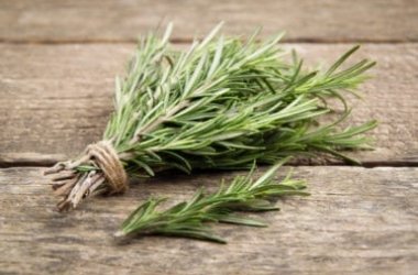 Tutte le virtù del rosmarino, utile in cucina ed alleato della bellezza al naturale