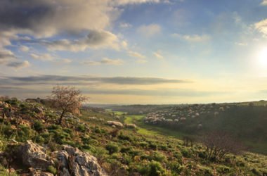 Parco Nazionale dell’Alta Murgia: la guida per visitarlo