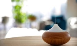 Profumi per l’ambiente: le migliori soluzioni naturali
