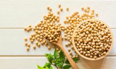 Soia, proprietà e benefici per la salute