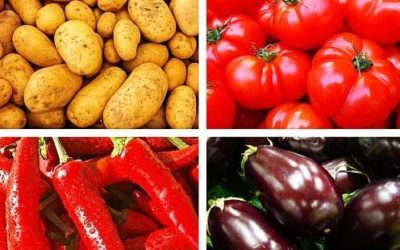Solanina: cos’è e quali alimenti la contengono
