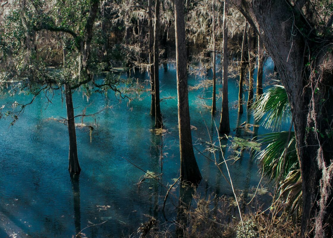Sacro Cenote Azul il più imponente dei Cenotes dello Ycatan