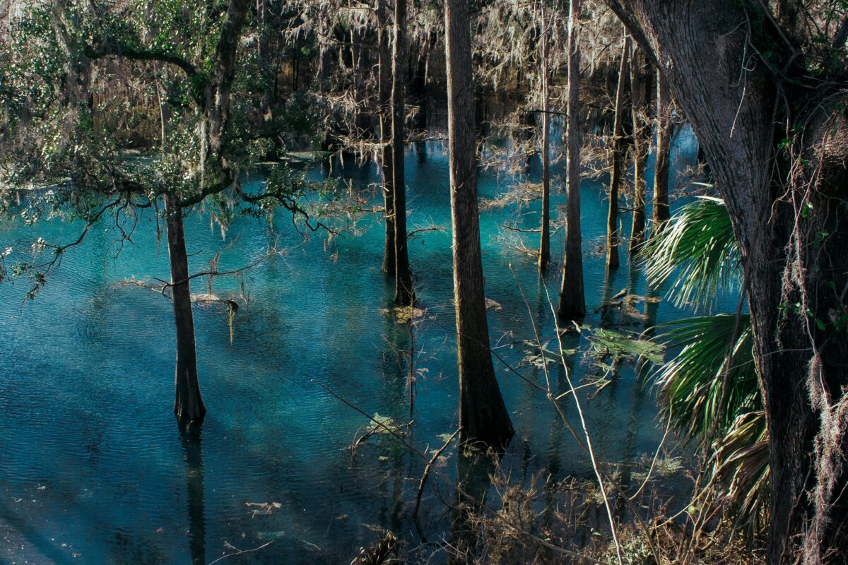 Sacro Cenote Azul il più imponente dei Cenotes dello Ycatan