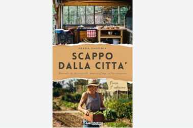 Scappo dalla città: decrescita, downshifting e  autoproduzione, libro di Grazia Cacciola